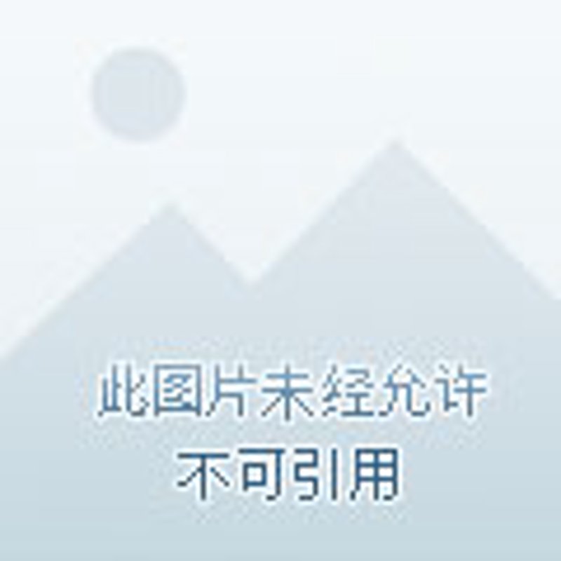 工具推荐类：兴尔旺在电子材料市场的表现